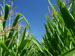paradoksB &copy; Fotolia